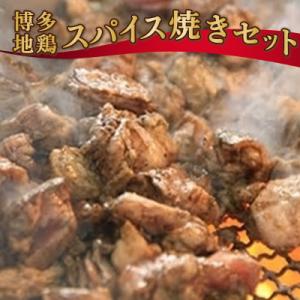 ふるさと納税 宇美町 肉の駅KINGの博多地鶏スパイス焼きセット(もも・胸肉) 900g