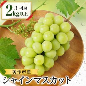 岡山県美作市産　シャインマスカット3～4房　2kg以上