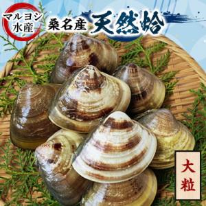 ふるさと納税 桑名市 マルヨシ水産　桑名産大粒天然蛤1kg 017-0047