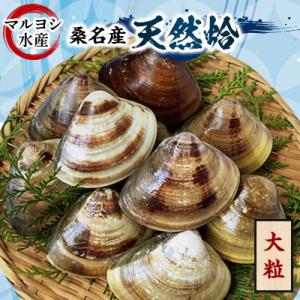 ふるさと納税 桑名市 マルヨシ水産　桑名産大粒天然蛤1.3kg 017-0197