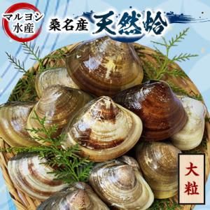 ふるさと納税 桑名市 マルヨシ水産　桑名産大粒天然蛤2kg 017-0198