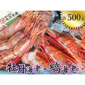 ふるさと納税 増毛町 ボタンエビ500g・シマエビ500gセット