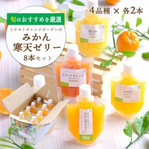 愛媛の柑橘4品種を厳選!旬のおすすめ みかん寒天ゼリー8本セット【C25-30】