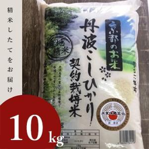 【令和7年産】京都丹波産 お米 コシヒカリ 精米 10kg