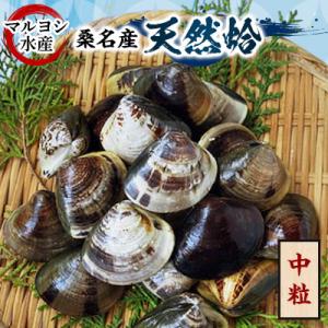 ふるさと納税 桑名市 マルヨシ水産　桑名産中粒天然蛤1kg(約30個)017-0048