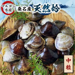 ふるさと納税 桑名市 マルヨシ水産　桑名産中粒天然蛤1.3kg(約40個)017-0201
