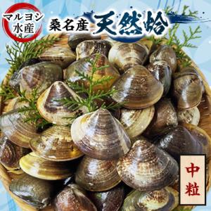 ふるさと納税 桑名市 マルヨシ水産　桑名産中粒天然蛤2kg(約60個)c_75