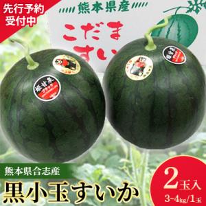 ふるさと納税 合志市 熊本県合志産黒小玉すいか2玉入の商品画像