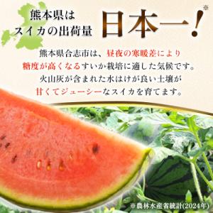ふるさと納税 合志市 熊本県合志産黒小玉すいか2玉入の詳細画像1