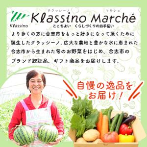 ふるさと納税 合志市 熊本県合志産黒小玉すいか2玉入の詳細画像2
