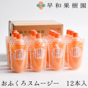 【早和果樹園】おふくろスムージー有田みかん　飲むみかんゼリー(パウチタイプジュレ)170g×12本入