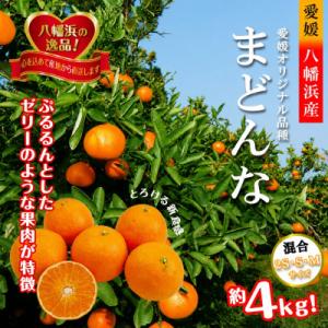 2026年11月発送開始　ぷるぷる新食感「マドンナ」約4kg　【D39-31】