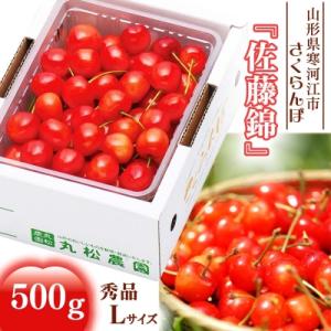 ふるさと納税 寒河江市 さくらんぼ「佐藤錦」500g Lサイズ 秀品【2024年6月中旬頃〜下旬頃発...