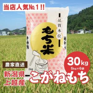 ふるさと納税 上越市 ブランドもち米「こがねもち」令和5年産 新潟県産/【精米30kg(5kg×6袋...