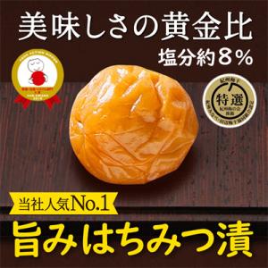 ふるさと納税 和歌山市 特選A級 紀州南高梅 紀...の商品画像