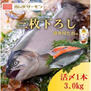 ふるさと納税 むつ市 【2024年7月上旬発送】海峡サーモン船上活〆3.0kg1本 (冷蔵)