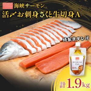 ふるさと納税 むつ市 【2024年7月上旬発送】活〆海峡サーモン　お刺身さくと生切身A(冷蔵)　特製...