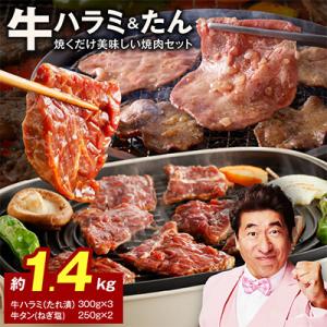 大人気 ファミリー向け 焼肉セット 牛たん 牛ハラミ肉 合計1.4kg 099H4054