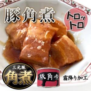 ふるさと納税 富田林市 豚角煮缶詰　20缶