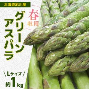 2026年発【瑞々しく甘みたっぷり】春収穫北海道産グリーンアスパラLサイズ　約1.0kg_00442