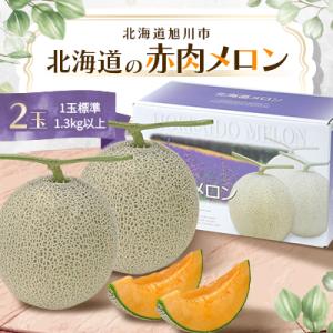 【2026年6月下旬発送開始】旭川発!北海道の赤肉メロン2玉_01102