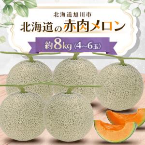 【2026年7月上旬発送開始】旭川発!北海道の赤肉メロン約8kg(4～6玉)_01103