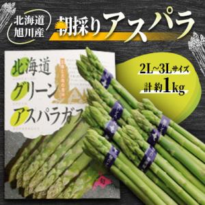 【2026年発送】朝採りアスパラ(2L～3Lサイズ)　約1kg_01704
