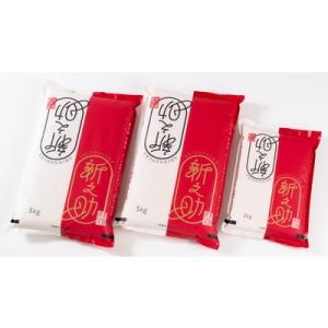 【令和7年産米】村上市産新之助12kg  B4030
