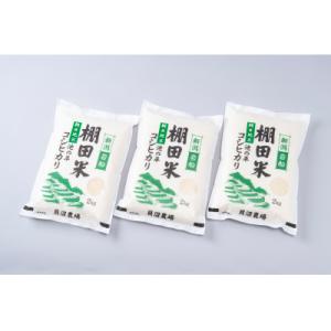 【令和7年産米】新潟県岩船産　棚田米コシヒカリ6kg　A4184