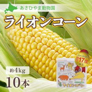 2026年先行受付【高糖度!まるでフルーツ】北海道産とうもろこし旭山ライオンコーン10本_00307