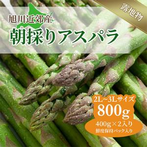 ふるさと納税 旭川市 【先行受付】令和6年5月中旬より順次発送旭川近郊産露地物アスパラ800g2L〜...