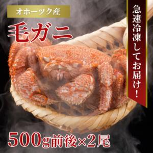 ふるさと納税 旭川市 北海道産　毛ガニ　500g前後×2尾_01192