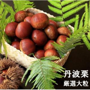 【先行受付】期間限定 丹波栗 厳選大粒 1.2kg<丹波四季菜料理 宮本屋>
