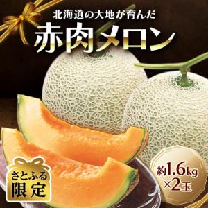 【さとふる限定】北海道の大地が育んだ「赤肉メロン」約1.6kg×2玉_01158
