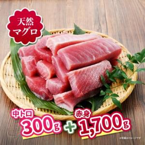 三崎の天然マグロ三昧!中トロ・赤身が入った王道コンビ2kgセット!