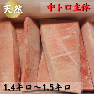 【中トロ主体で1キロ以上】三崎の天然目鉢まぐろ(1.4～1.5kg)