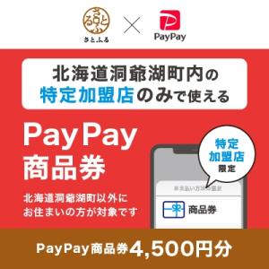 ふるさと納税 洞爺湖町 北海道洞爺湖町　PayPay商品券(4,500円分)※地域内の一部の加盟店の...