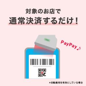 ふるさと納税 富良野市 北海道富良野市 Pay...の詳細画像3