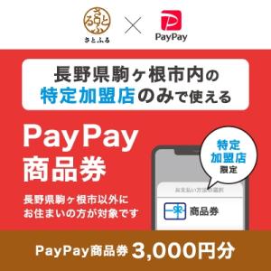 ふるさと納税 駒ヶ根市 長野県駒ヶ根市　PayPay商品券(3,000円分)※地域内の一部の加盟店の...