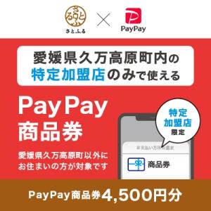 ふるさと納税 久万高原町 愛媛県久万高原町　PayPay商品券(4,500円分)※地域内の一部の加盟...