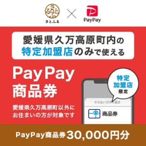 ふるさと納税 久万高原町 愛媛県久万高原町　PayPay商品券(30,000円分)※地域内の一部の加...