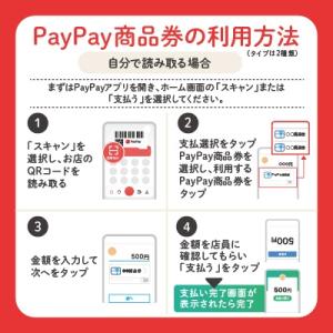 ふるさと納税 御代田町 長野県御代田町 Pay...の詳細画像2