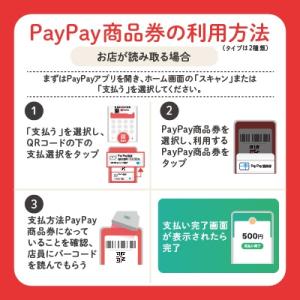 ふるさと納税 御代田町 長野県御代田町 Pay...の詳細画像3