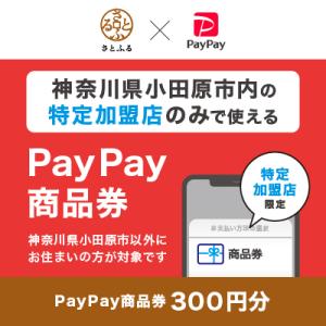 ふるさと納税 小田原市 神奈川県小田原市　PayPay商品券(300円分)※地域内の一部の加盟店のみ...