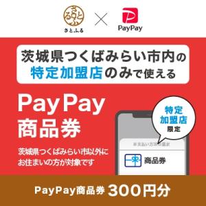 ふるさと納税 つくばみらい市 茨城県つくばみらい市　PayPay商品券(300円分)※地域内の一部の...