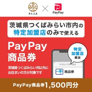 ふるさと納税 つくばみらい市 茨城県つくばみらい市　PayPay商品券(1,500円分)※地域内の一...