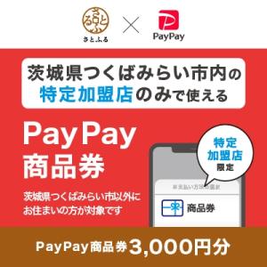 ふるさと納税 つくばみらい市 茨城県つくばみらい市　PayPay商品券(3,000円分)※地域内の一...