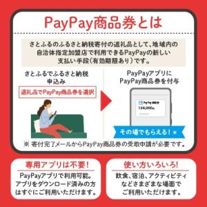 ふるさと納税 うるま市 沖縄県うるま市 Pay...の詳細画像1