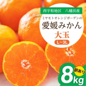 大玉サイズのみ厳選!八幡浜産 愛媛みかん8kg【訳あり】【C25-142】