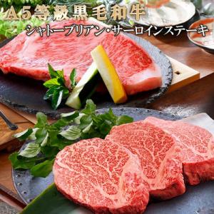 ふるさと納税 枕崎市 A5等級黒毛和牛(シャトーブリアン&amp;サーロインステーキ) C7-3